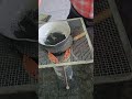 heating effect on KMnO4 #chemistry #experiment #chemistryeducation #ncert #music #reels #scientist