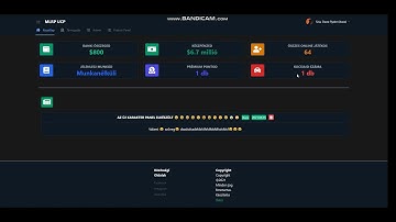 FiveM(MLRP) User Control Panel(UCP) preview
