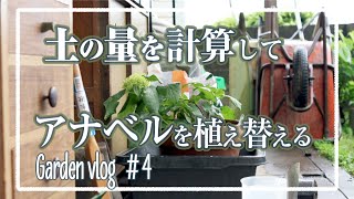 【植え替え】10号鉢にはどれくらい土が必要なのか。配合した土がムダにならないように計算しました。【GardenVlog#4】