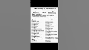 VLAN & VLAN Trunking!!!✨✨