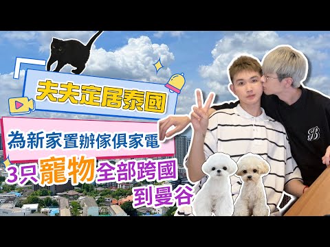 夫夫定居泰國 | 為新家置辦傢俱家電 3只寵物全部跨國到曼谷 | Gay couple settle in Thailand，furnish their new home