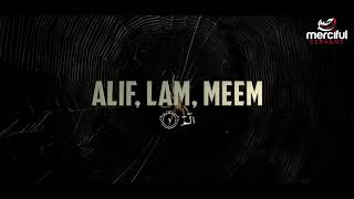 THE SPIDER| Surah al-Ankabut | abdallah humeid HEART TOUCHING QURAN