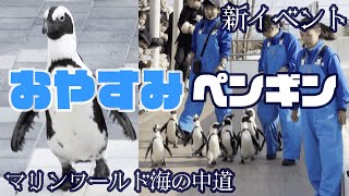 【♡】ペンギン新エリア誕生で”おやすみペンギン”パレード開催マリンワールド海の中道 #penguin #animals #kawaii