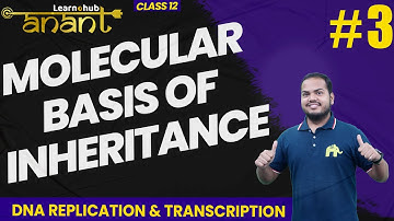 Molecular Basis of Inheritance Class 12 Bio NCERT Chapter 5 #3| Replication, Transcription | Anant