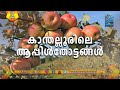 Kaanthalloor apple  medianet channel story