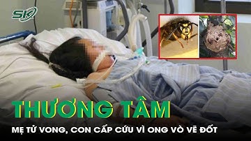 Thương tâm: Mẹ t.ử vong, con 3 tuổi cấp cứu vì ong vò vẽ đốt | SKĐS