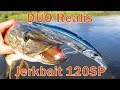 Обзор воблера DUO Realis Jerkbait 120SP