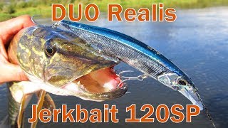 :   DUO Realis Jerkbait 120SP