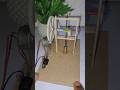 New Hammer Machine Mechanism #dcmotor #hammer #shortvideo