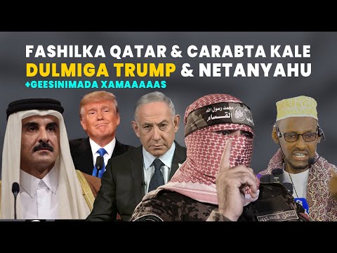 Maxaa Ku Dhacay Qatar Somalia Maxey Ka Tiri Geesinimada Xms Dulmiga Mareykanka Sh Abdixayi