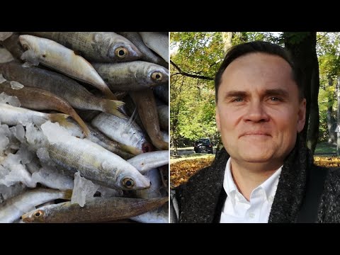 Video: Kaip Išsirinkti žuvį