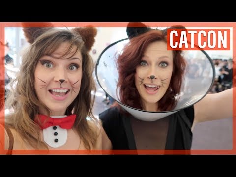 Video: Įžymybės, Dalyvavusios „CatCon 2018“
