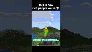 Celebrity Minecraft Rich Command Profile