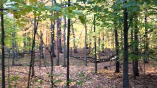 Michigan woods #puremichigan by parishoa 23 views 10 years ago 19 seconds