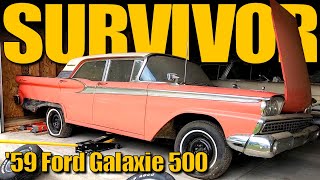 On The Road After 44 Years! 1959 Galaxie 500 SURVIVOR