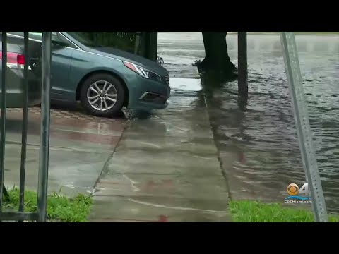 Residents Second Guessing Living In Pricey Edgewater Because Of Rising Rent & Flooding Problems