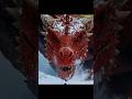 4 Most Dangerous Animals of Antarctica That Can Freeze Your Soul 🧊😱