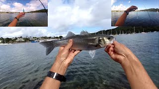 Bass Fishing with a Bombarda Float and a Red Gill Sandeel Soft Lure screenshot 3