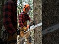 new person chainsaw machine #chainsaw #youtubeai #wood #machine #woodworking