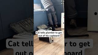 Angry That The Plumber Is In His Cupboard