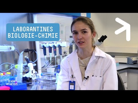 Vidéo: Comment Organiser Le Travail De Laboratoire