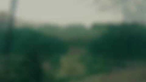 Hồ cấm sơn, vẻ đẹp hoang sơ