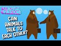 Do Animals Talk To Each Other? | Spirit Riding Free presents COLOSSAL QUESTIONS