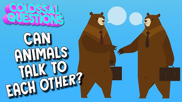 Do Animals Talk To Each Other? | Spirit Riding Free presents COLOSSAL QUESTIONS