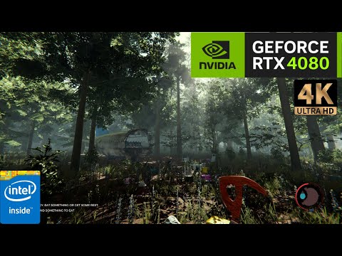 GeForce RTX 4080 + i9 10900k: The Forest | 4k | Benchmark