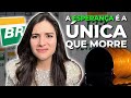 Petrobras espere o pior e nunca se decepcione