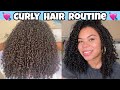 Updated Wash & Go | 2021 Curly Hair Routine | One Product | Carols Daughter Coco Creme | No Diffuser
