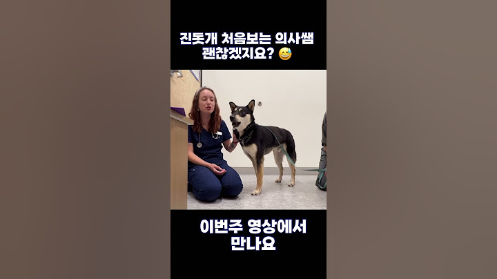 진돗개 처음보는 미국 수의사와 마일로 #블랙탄 #진돗개해외반응
