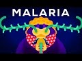 Comment radiquer lun de nos ennemis mortels  modifications gntiques  malaria