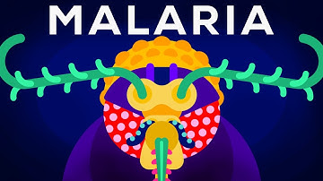 Genetic Engineering and Diseases – Gene Drive & Malaria
