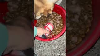 Yetişmediğin De Gece Çıkıyorum Beslemeye