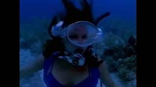 Female Scuba Diver Saves Man From Tiger Shark 1980S