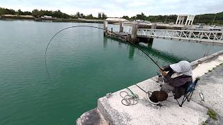 小魚釣りしてたら隣の達人おばぁが大物釣った