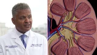 How Long Can You Live without Your Kidneys?