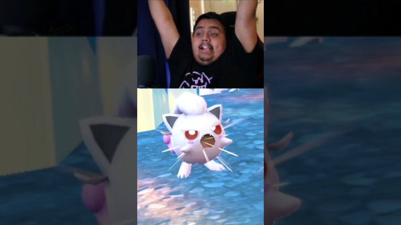 Roulette Wheel Decides My Paradox Hunt!