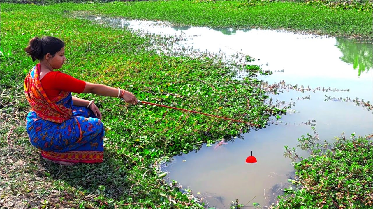 Hook fishing video ✅ The beautiful lady catches fish every day and sells it at the morning market