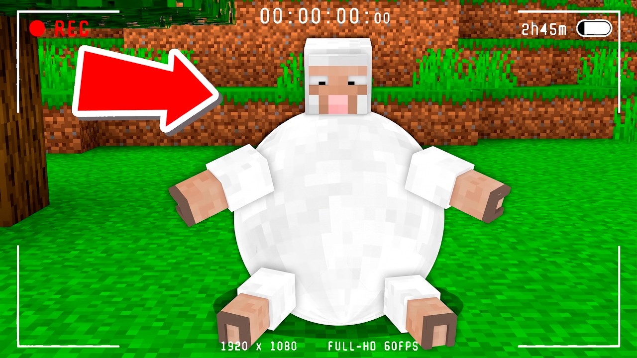 Esto Pasa si le das de Comer a una OVEJA en Minecraft😱