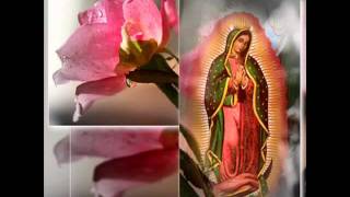 Video thumbnail of "Virgen Morena) Marco Antonio Solis."