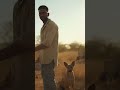 Man Building Fence Suddenly Faces a Leopard Attac —You Won’t Believe the Ending! #dog #dogs #shorts