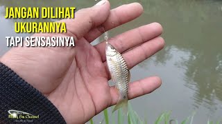 Mancing ikan Beunteur di sungai | Cinangneng