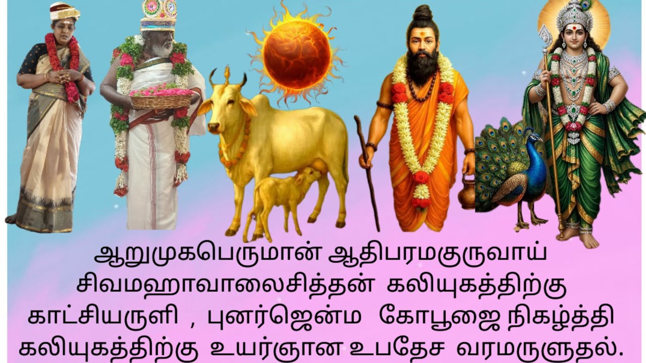 ஆறுமுகபெருமான் ஆதிபரமகுருவாய் இறைசித்தன் காட்சியருளி,புனர்ஜென்ம கோபூஜை நிகழ்த்தி ஞானவரமருளுதல்.சஷ்டி