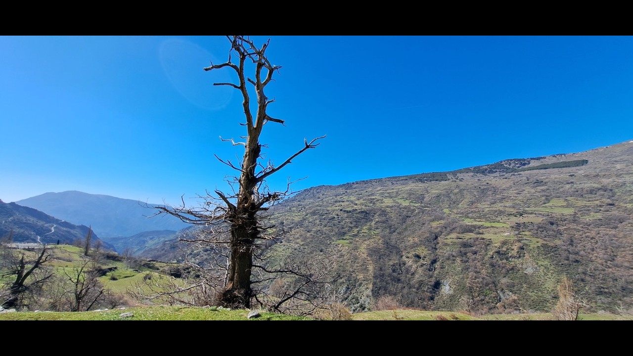 Alta cogitatio - Ramón Sánchez (music video)