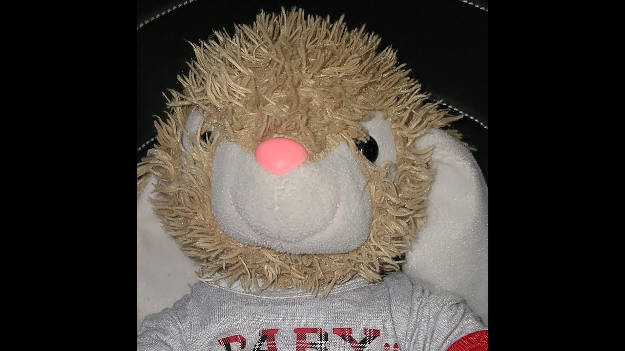 The Bunny Song YouTube