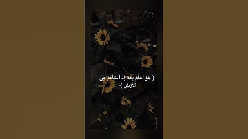 سورة النجم //بصوت القارئ محمود خليل