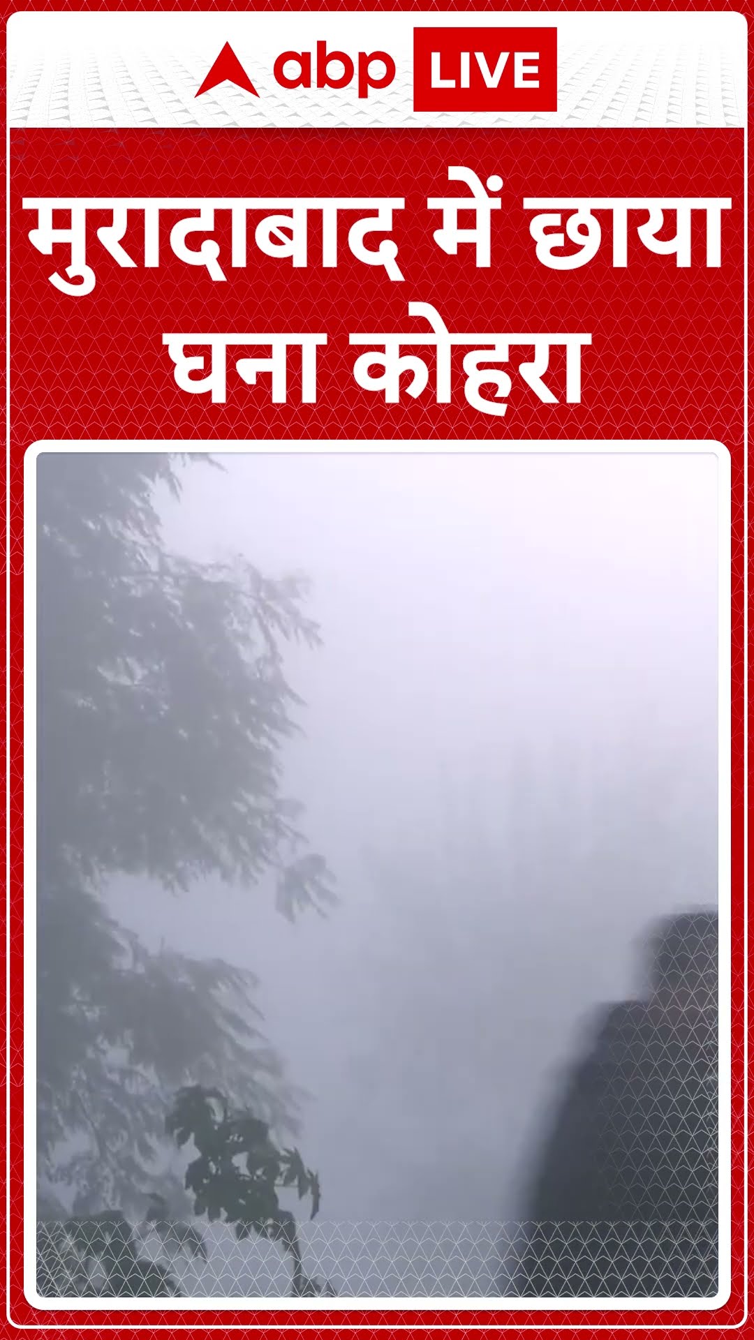 Moradabad News: मुरादाबाद में छाया घना कोहरा | ABP LIVE | SHORTS