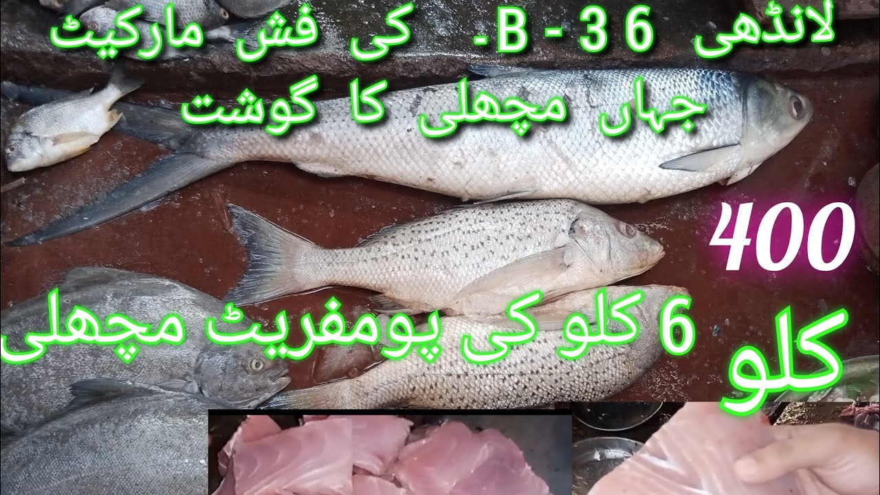 Landhi Fish Market/Fish market Karachi/Biggest fish market karachi